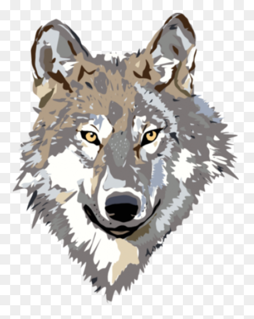 Gray Wolf Clipart 9Dc4Brkdce Wolf - Wolf