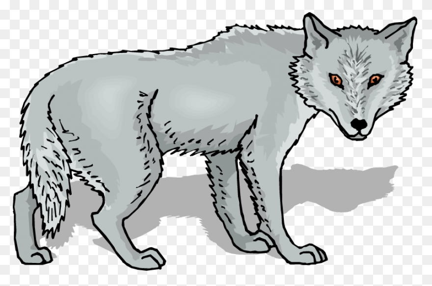 Gray Wolf Clip Art 9Dc4Brkdce - Wol