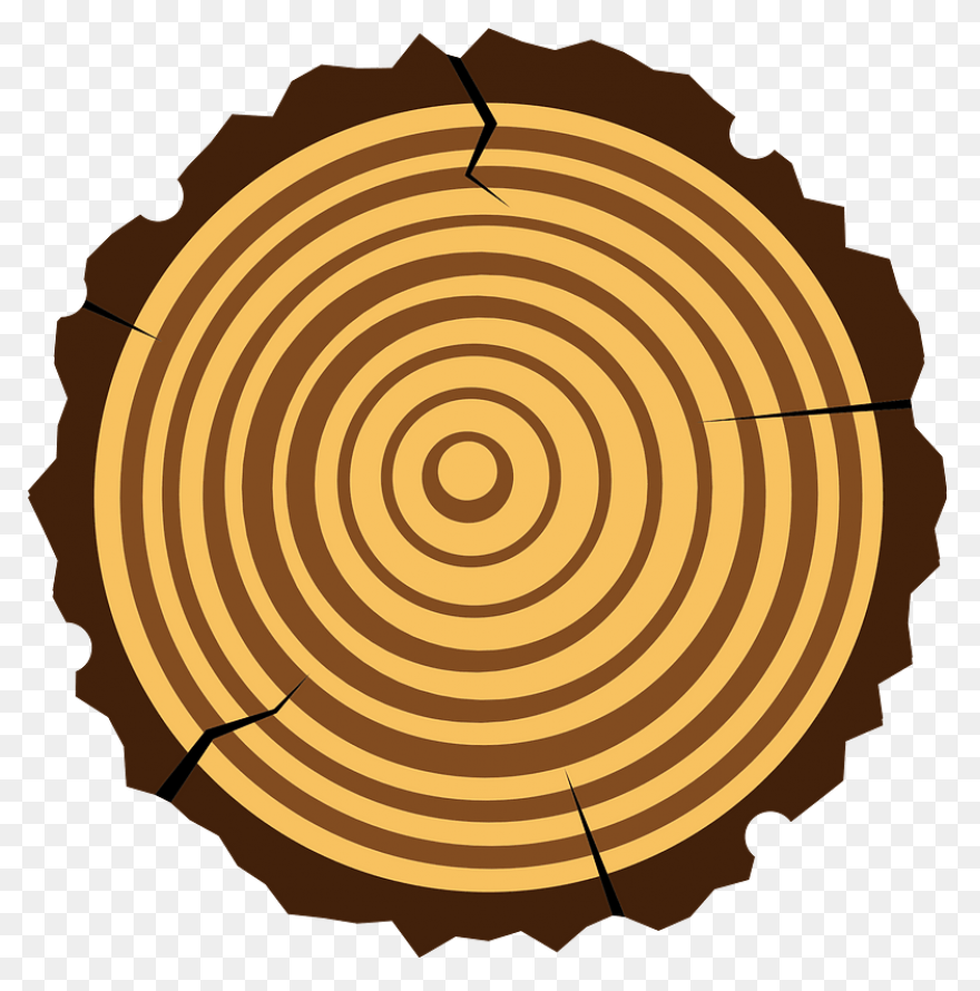 Custom Walnut Wood Qi Charger | Cor