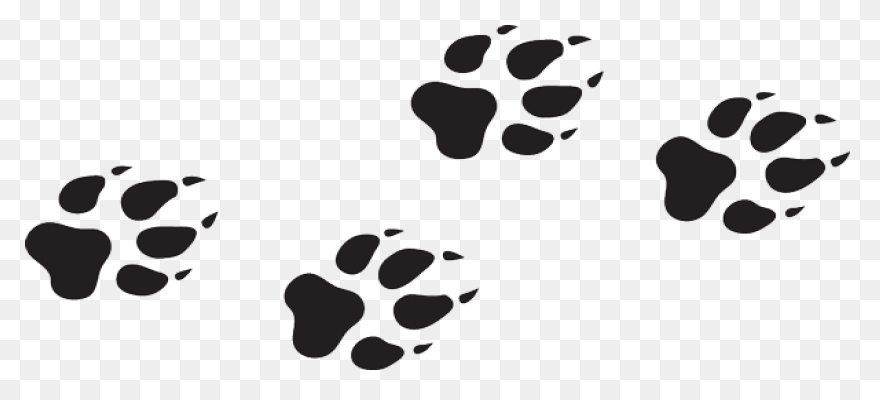 Paw Emblem Bo - Wolf Paw Print Vect