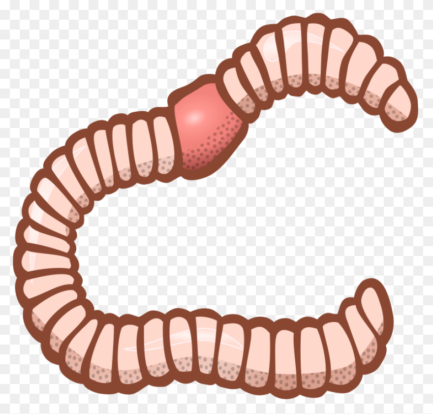 Free Funny Clip Art | Green Worm Cl