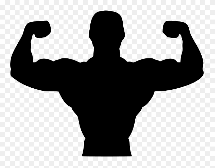 Dumbbell, Exercise, Gym, Women, Wor