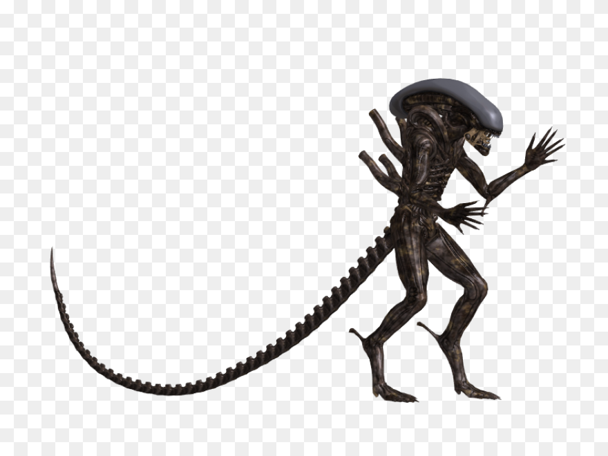 Pin By Jacob On Alien - Xenomorph