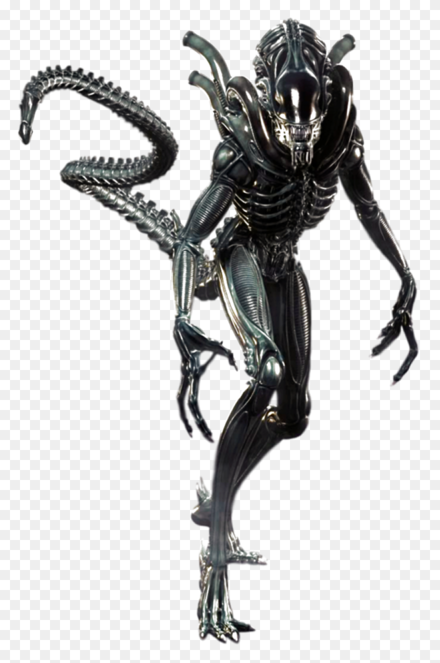 Pin By Jacob On Alien | Xenomorph, 