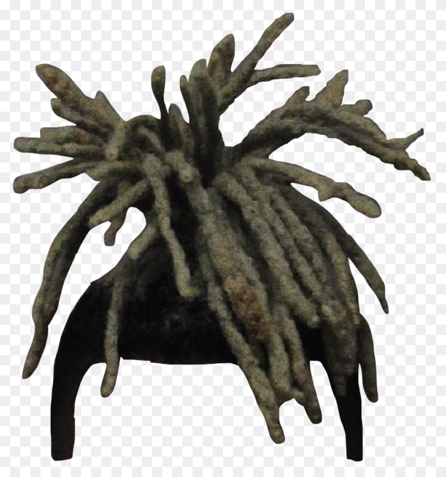 Download Xxxtentacion Xxx Hair Rap 