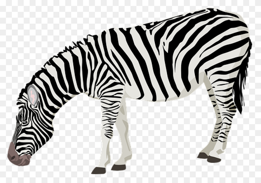 Zebra Pen | Find Zen In Your Pen