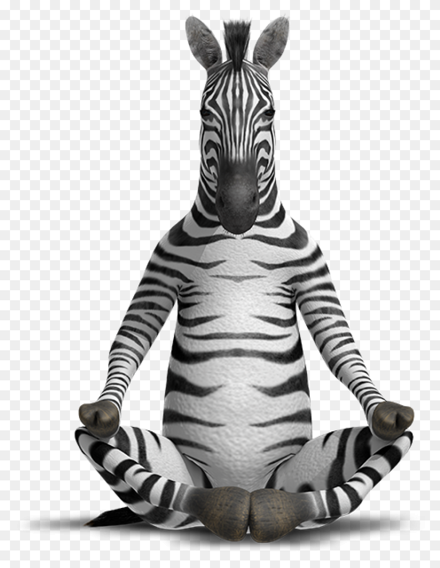 Zebra Pen | Find Zen - Zebra