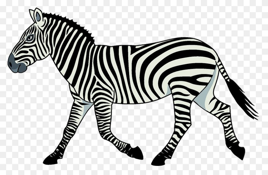 Zebra Pen | Find Zen In Your Pen