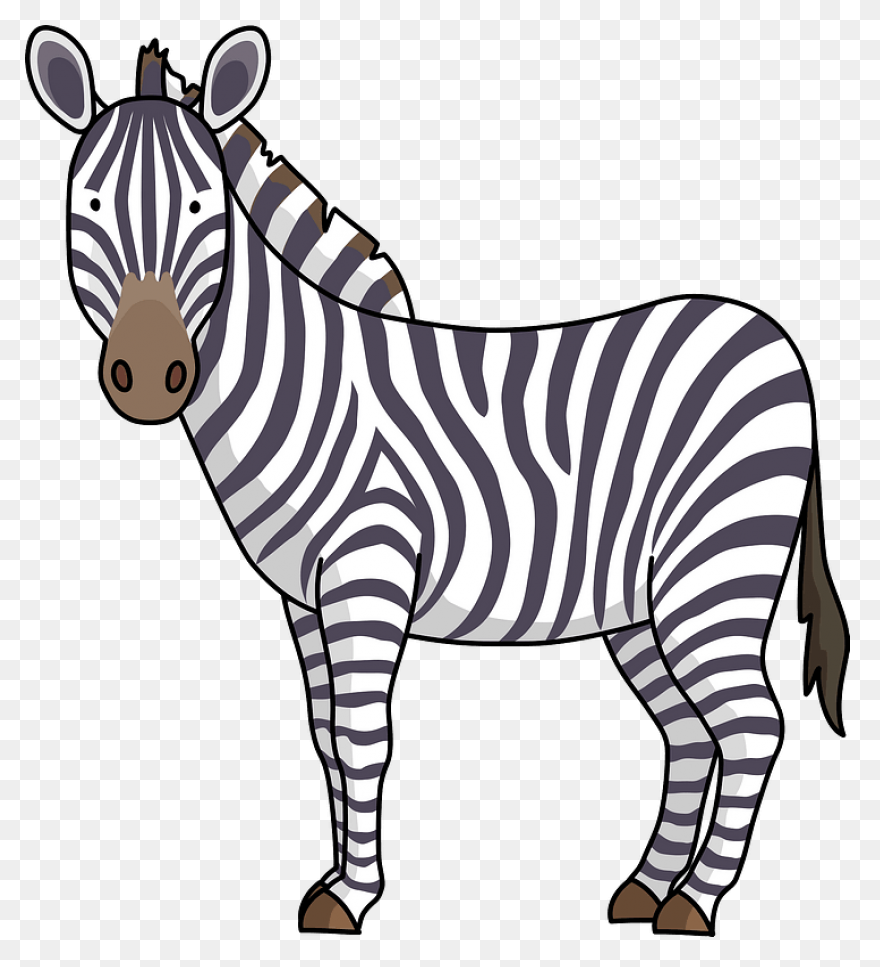 Zebra Pen | Find Zen In Your Pen
