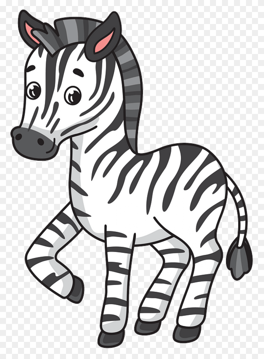 Zebra Pen | Find Zen In Your Pen